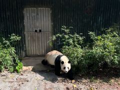 -广州动物园