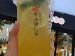柠檬益菌多-书亦烧仙草(信誉楼店)