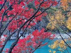 -叠溪松坪沟景区