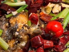 -老板恋上鱼(印象城店)