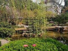 景点-鹅岭公园瞰胜楼