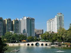 -荔湾湖公园