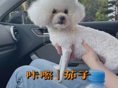 -宠颐生汉谟拉比宠物医院