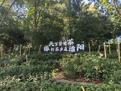 -天目湖山水园