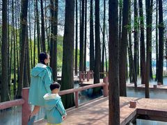 -东湖落雁景区
