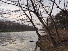 -西溪国家湿地公园