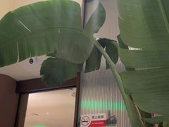 -沿途四季·云南菜·诗酒茶(蓝色港湾店)