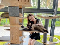 -猫色咖啡·猫咖