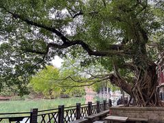 -小洲村