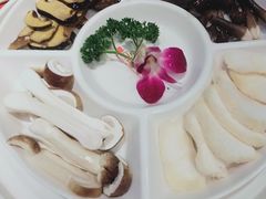 -南门四季铜锅涮肉(左家庄店)