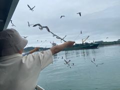 -海驴岛(荣成市)