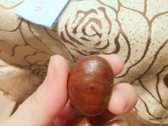 -陈记栗子(长宁路店)