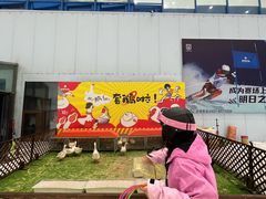-哈尔滨热雪奇迹