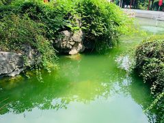 -祝家花園(伯渎港店)