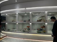 -1013 PET SHOP精品宠物商店(丁香店)