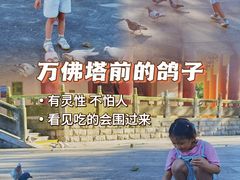 -博鳌禅寺