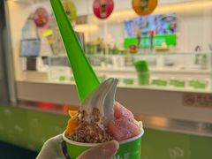 -Salud撒露欧洲冻酸奶(蓝色港湾店)