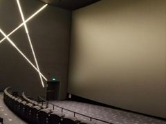 -星轶IMAX影城(九亭U天地旗舰店)