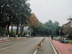 -四川大学(望江校区)
