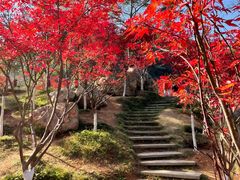 -广州市帽峰山景区