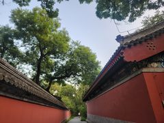 -北京植物园南门售票处