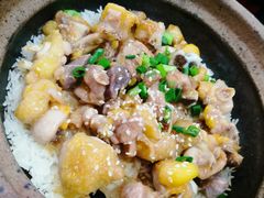 -红星光发煲仔饭(大石街店)