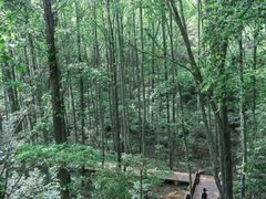 -青龙山国家森林公园