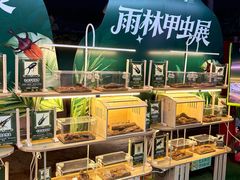 -正佳雨林生态植物园
