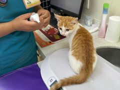 -美联众合动物医院·24h京西诊疗中心