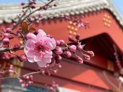 -北京市劳动人民文化宫