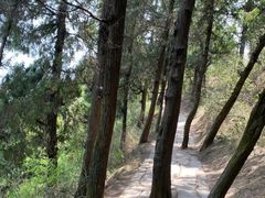 -金堂县云顶石城风景区