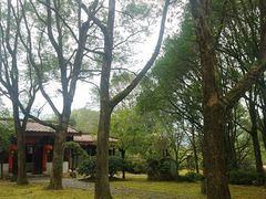 -九曲溪竹筏码头