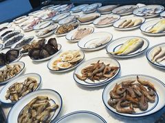 -兰边碗(鼓楼店)