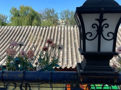 -Sirena海妖日咖夜酒