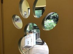 -派联宠物医院·24h·CT·异宠
