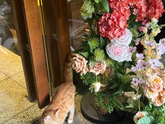 -谷咖啡·鲜花绿植花园餐厅