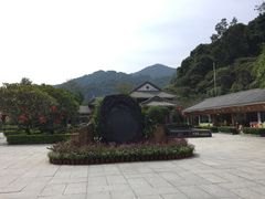 -鼎湖山风景区