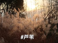-梁鸿国家湿地公园