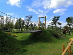 -上海长兴岛郊野公园