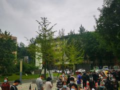 -川北医学院附属成都新华医院