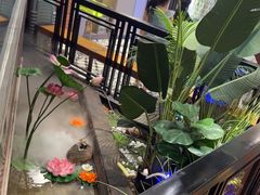 -简普菜烤鱼(苏宁生活广场店)