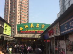 -曲阳花鸟市场(曲阳路店)