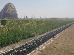 -中国天府农业博览园