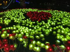 -大塘金香草谷