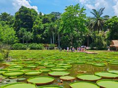 -中国科学院西双版纳热带植物园