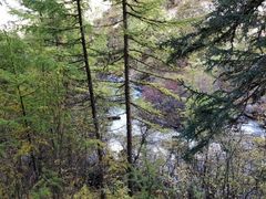 -铁山坪森林公园