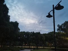 -苏小柳点心·手作小笼包(浦东嘉里城分院)