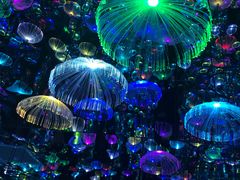 -天津梵高星空艺术馆(天河城旗舰店)
