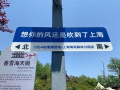 -上海海湾国家森林公园