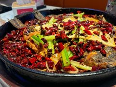 -老板恋上鱼(高新万达店)